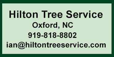 Hilton Tree Service
